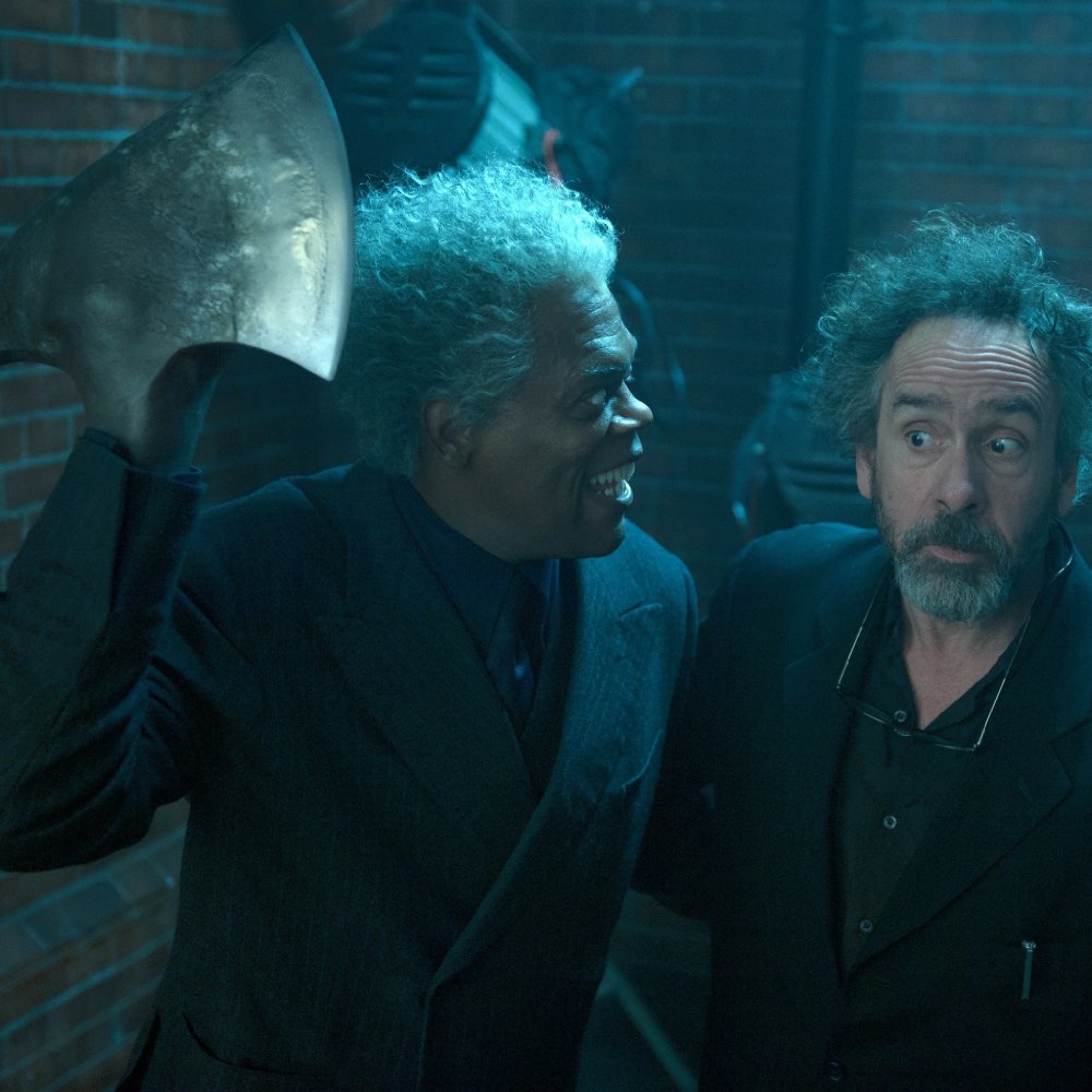 jacksonmissperegrine